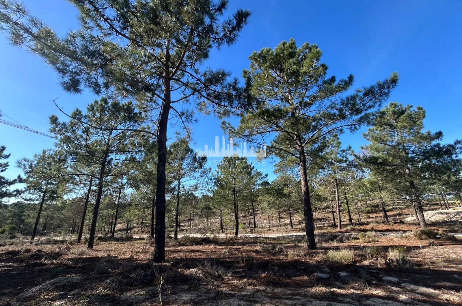 Portugalia, Comporta / Alentejo Coast, Carvalhal