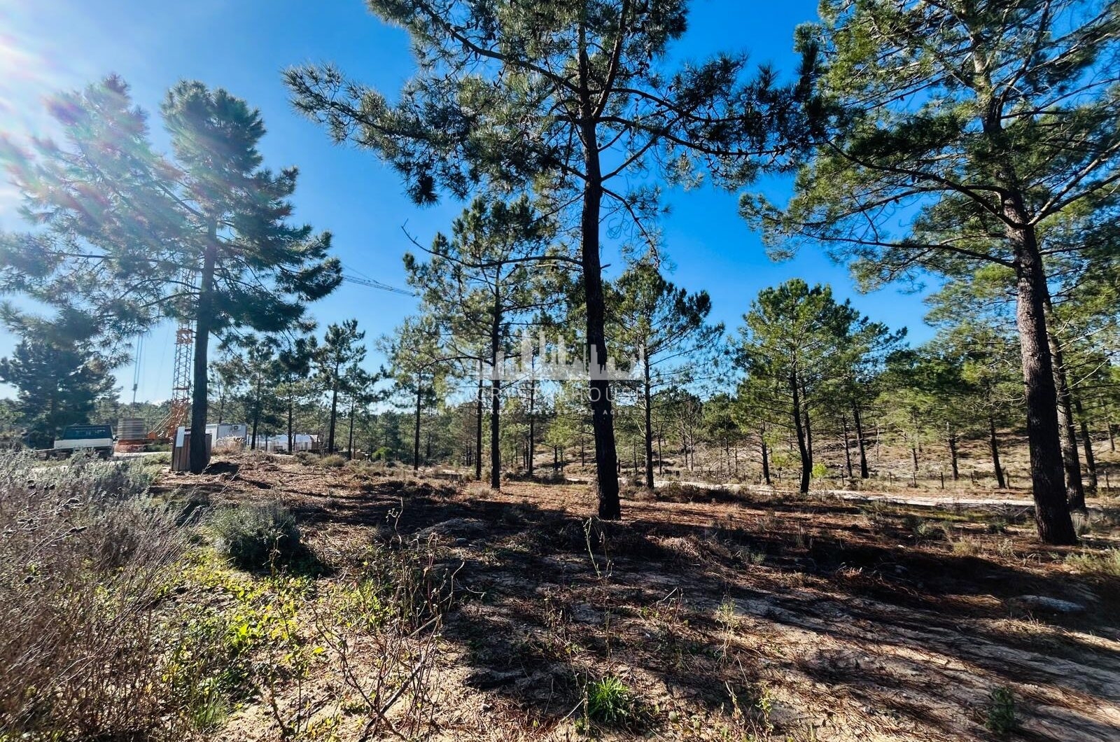 Portugalia, Comporta / Alentejo Coast, Carvalhal