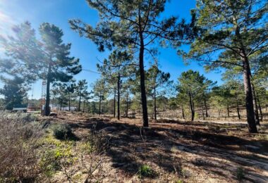 Portugalia, Comporta / Alentejo Coast, Carvalhal