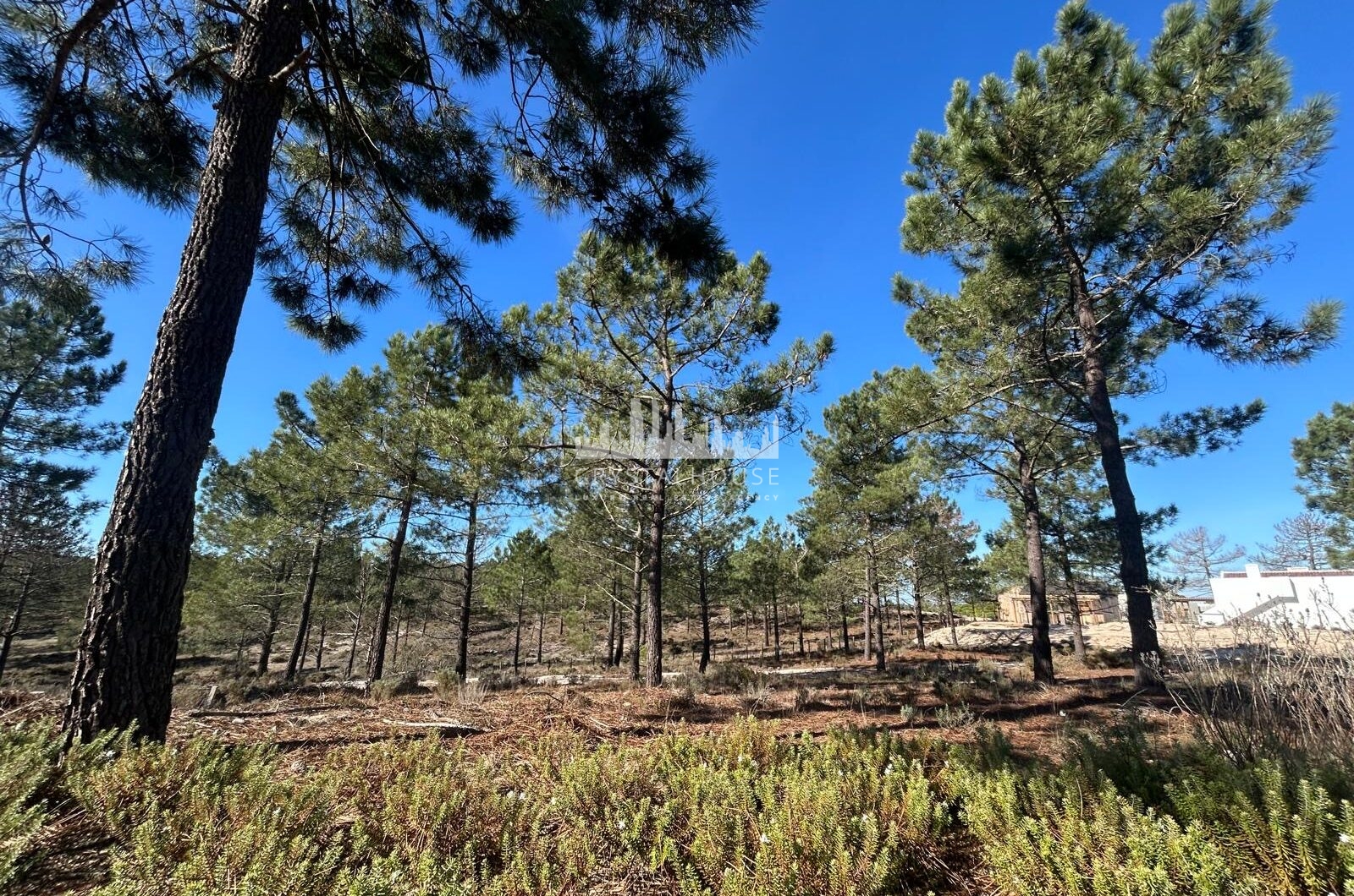 Portugalia, Comporta / Alentejo Coast, Carvalhal
