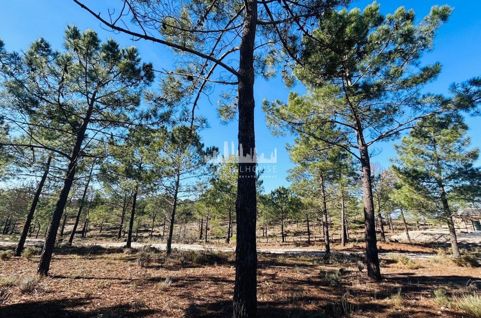 Portugalia, Comporta / Alentejo Coast, Carvalhal