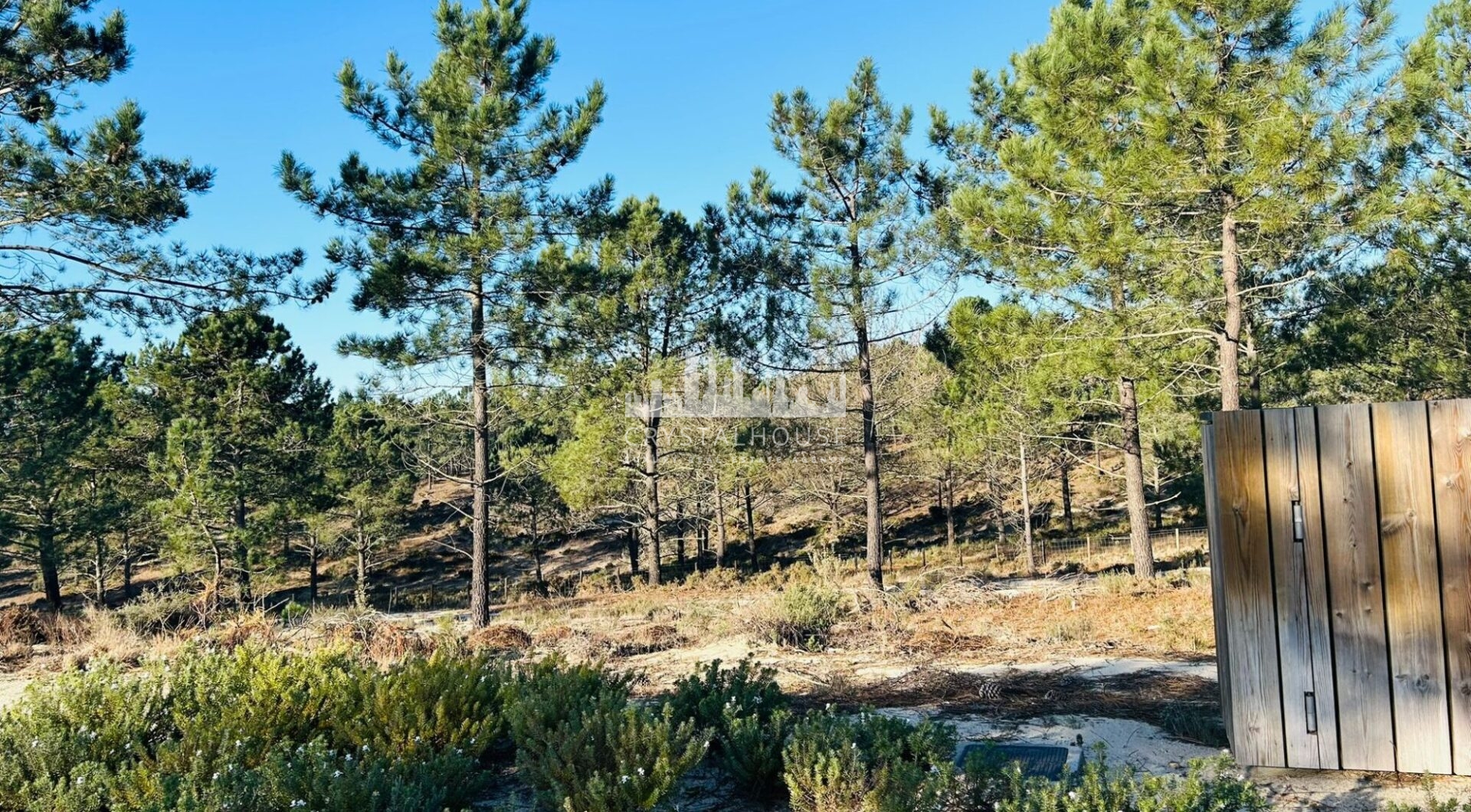 Portugalia, Comporta / Alentejo Coast, Carvalhal
