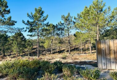 Portugalia, Comporta / Alentejo Coast, Carvalhal