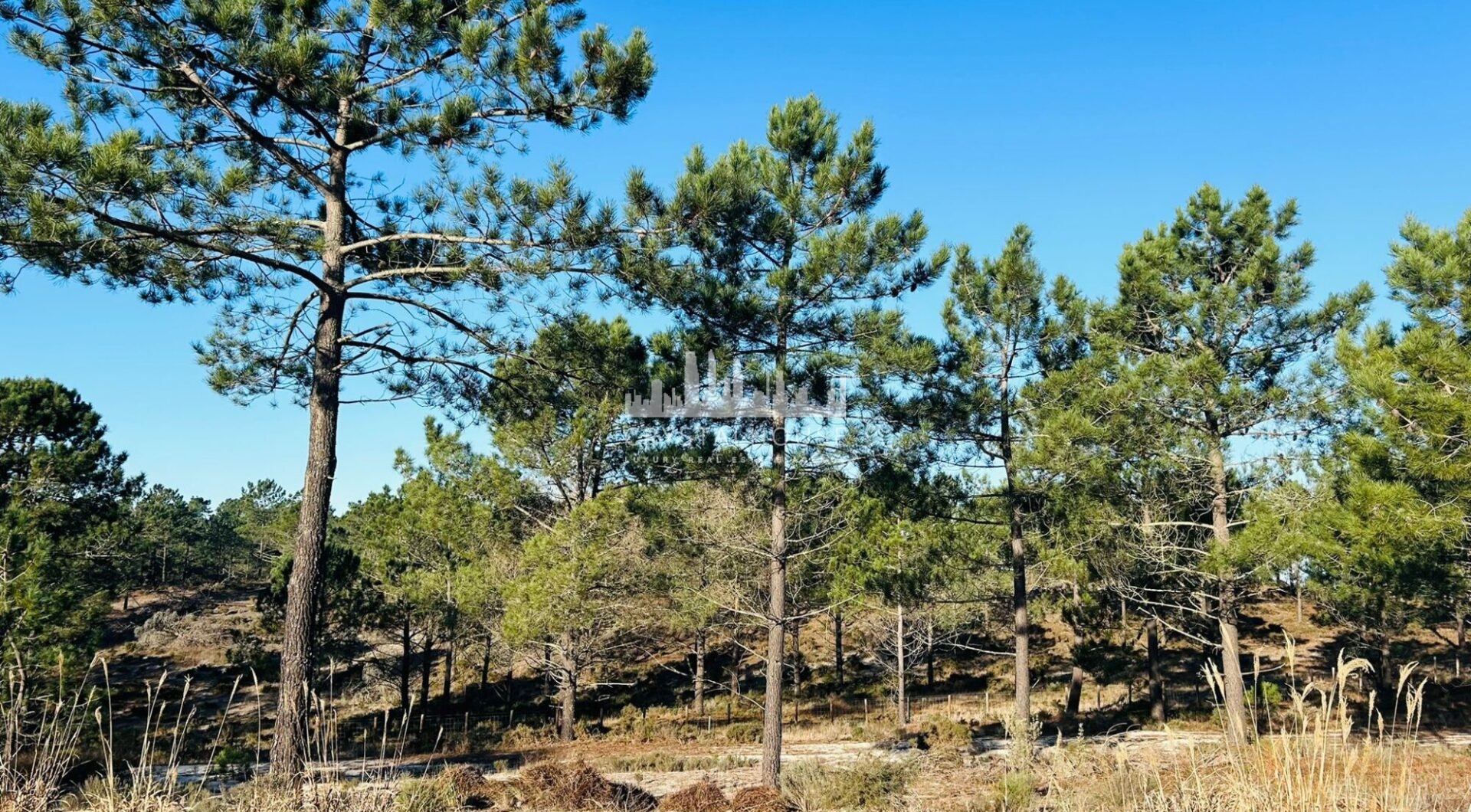 Portugalia, Comporta / Alentejo Coast, Carvalhal