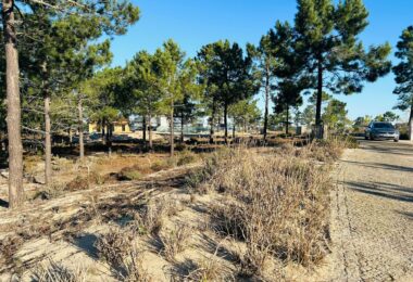 Portugalia, Comporta / Alentejo Coast, Carvalhal