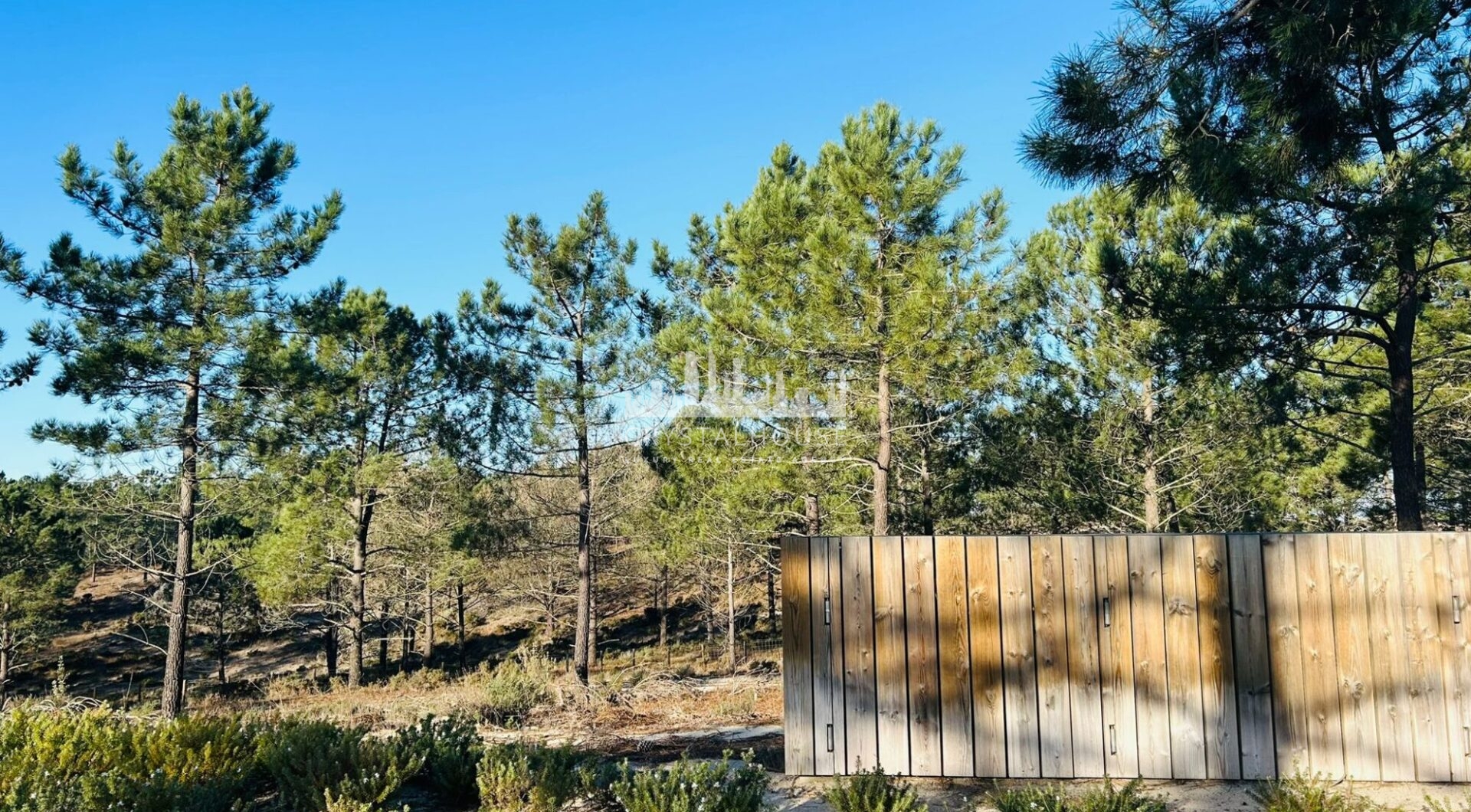 Portugalia, Comporta / Alentejo Coast, Carvalhal