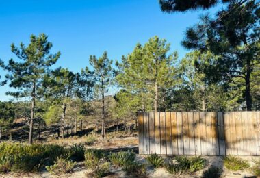 Portugalia, Comporta / Alentejo Coast, Carvalhal