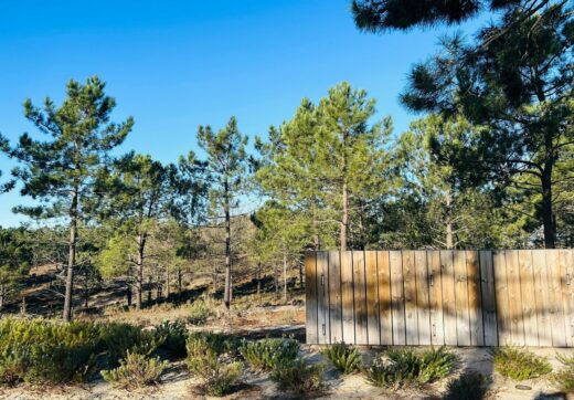 Portugalia, Comporta / Alentejo Coast, Carvalhal