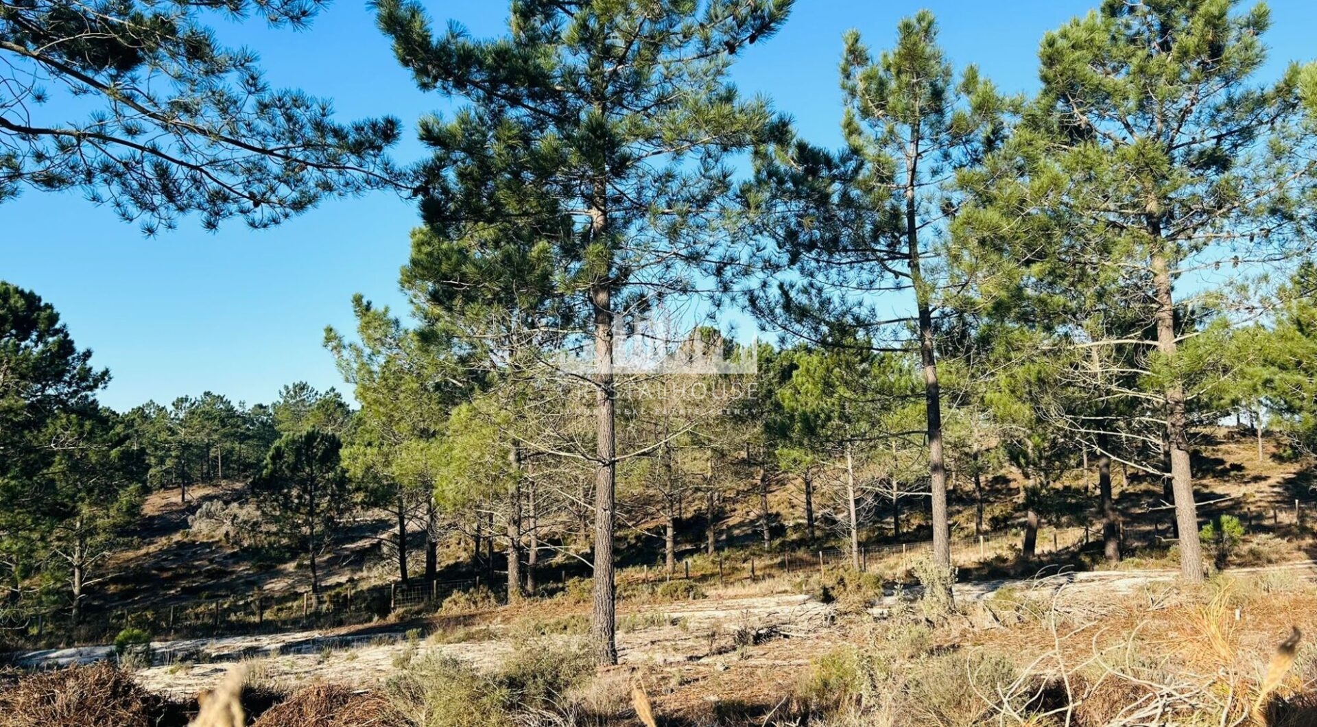 Portugalia, Comporta / Alentejo Coast, Carvalhal
