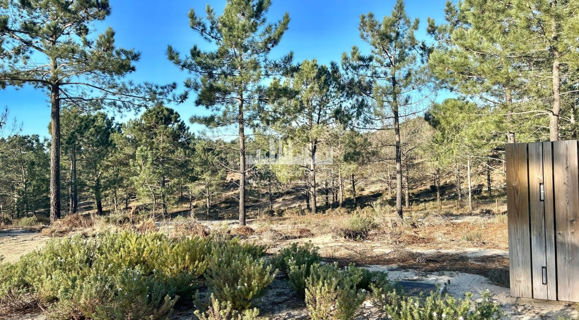 Portugalia, Comporta / Alentejo Coast, Carvalhal