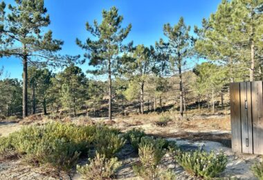 Portugalia, Comporta / Alentejo Coast, Carvalhal