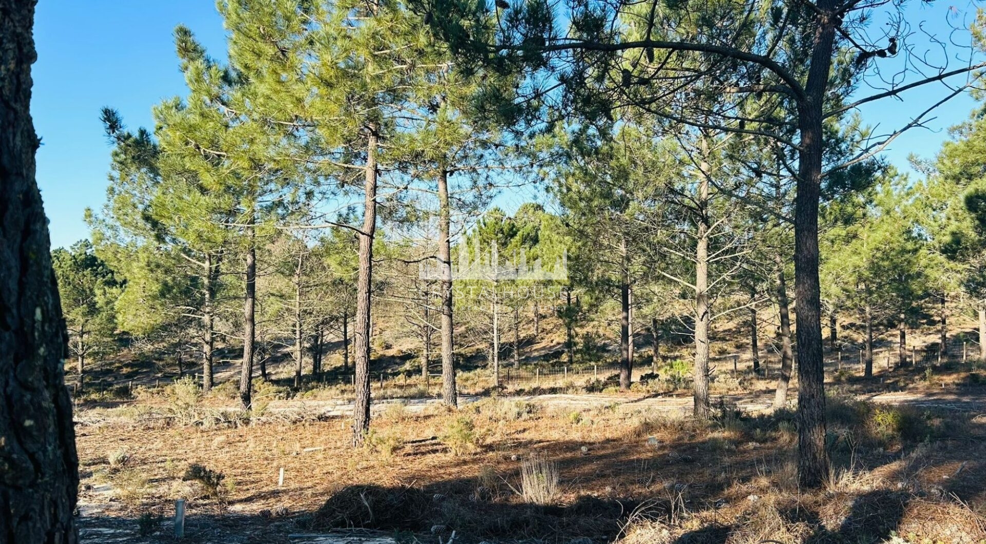 Portugalia, Comporta / Alentejo Coast, Carvalhal