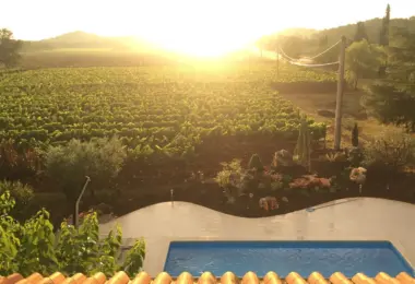 Chorwacja, Zadar region