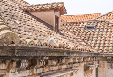 Chorwacja, Dubrovnik Old Town