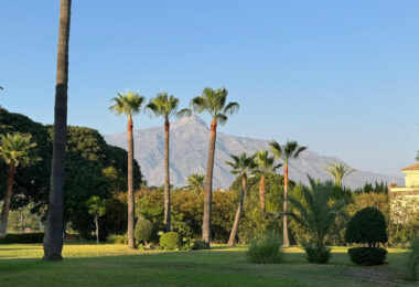 Hiszpania, Marbella, Nueva Andalucia