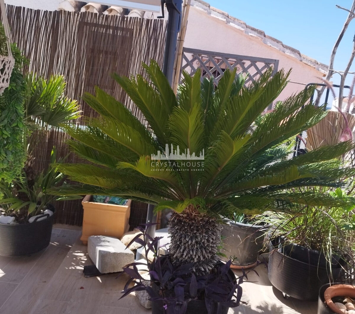 Hiszpania, Estepona, Estepona East
