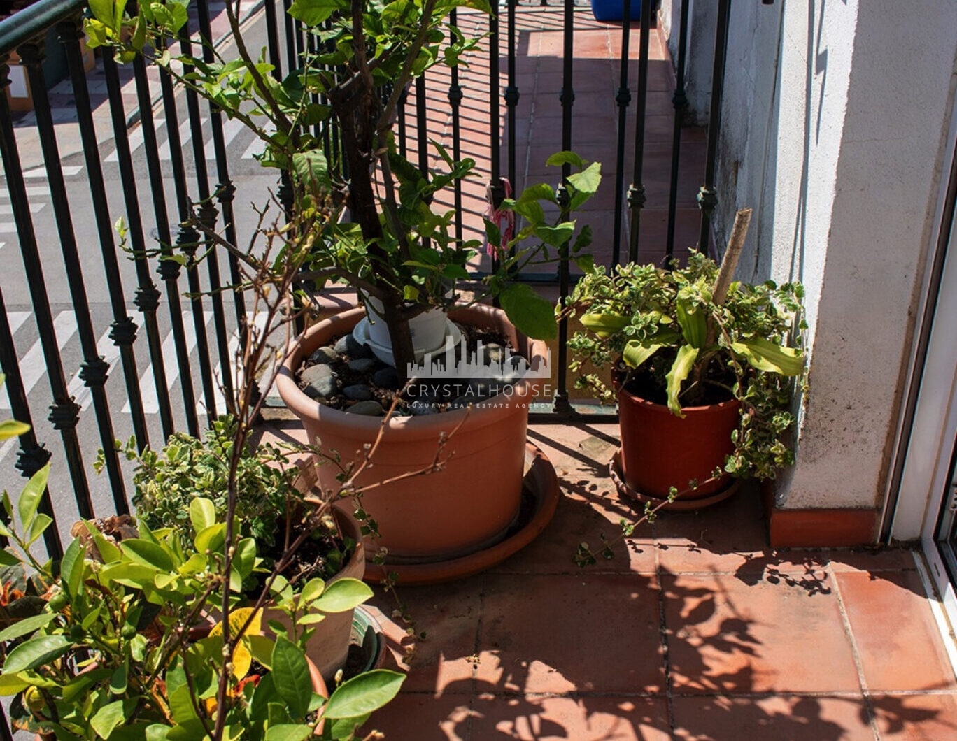 Hiszpania, San Pedro de Alcantara