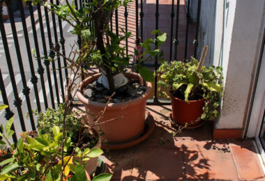 Hiszpania, San Pedro de Alcantara