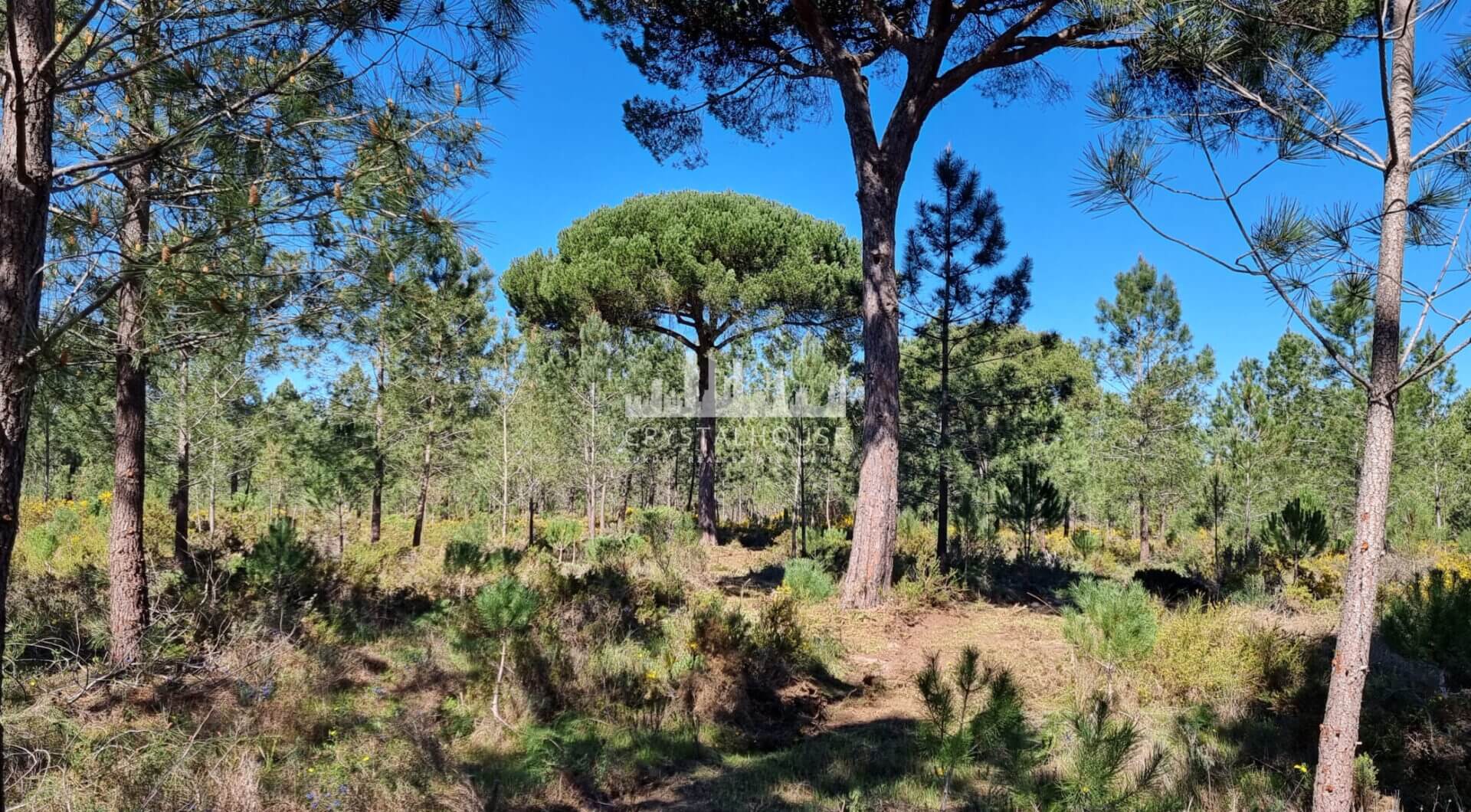 Portugalia, Comporta / Alentejo Coast, Muda