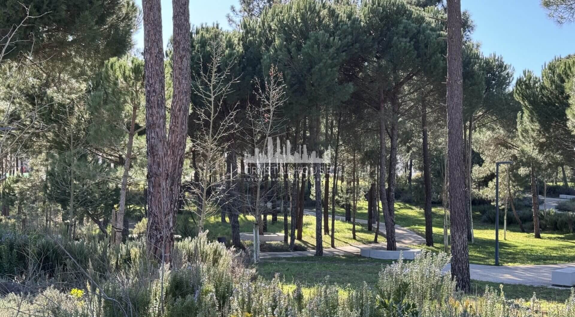 Portugalia, Comporta / Alentejo Coast, Muda