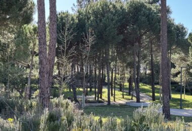Portugalia, Comporta / Alentejo Coast, Muda