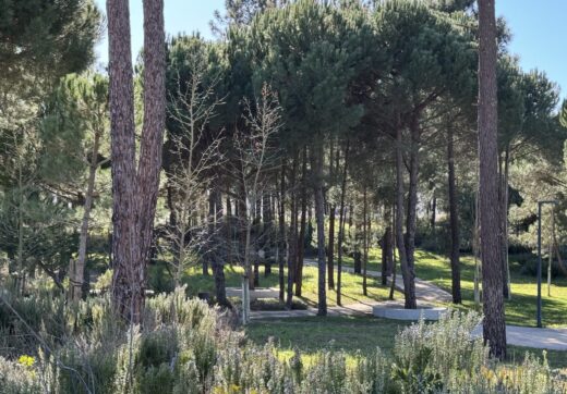 Portugalia, Comporta / Alentejo Coast, Muda