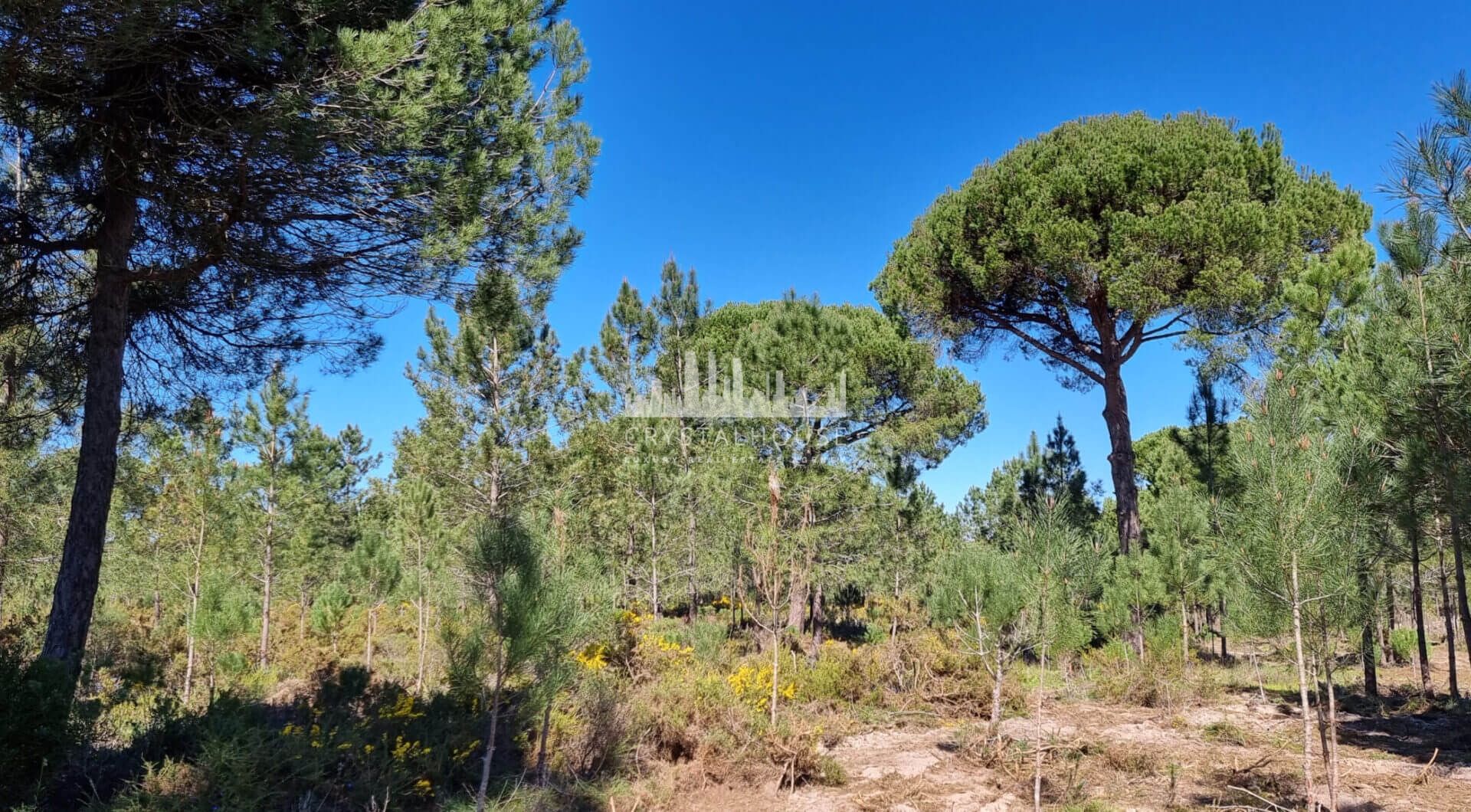 Portugalia, Comporta / Alentejo Coast, Muda