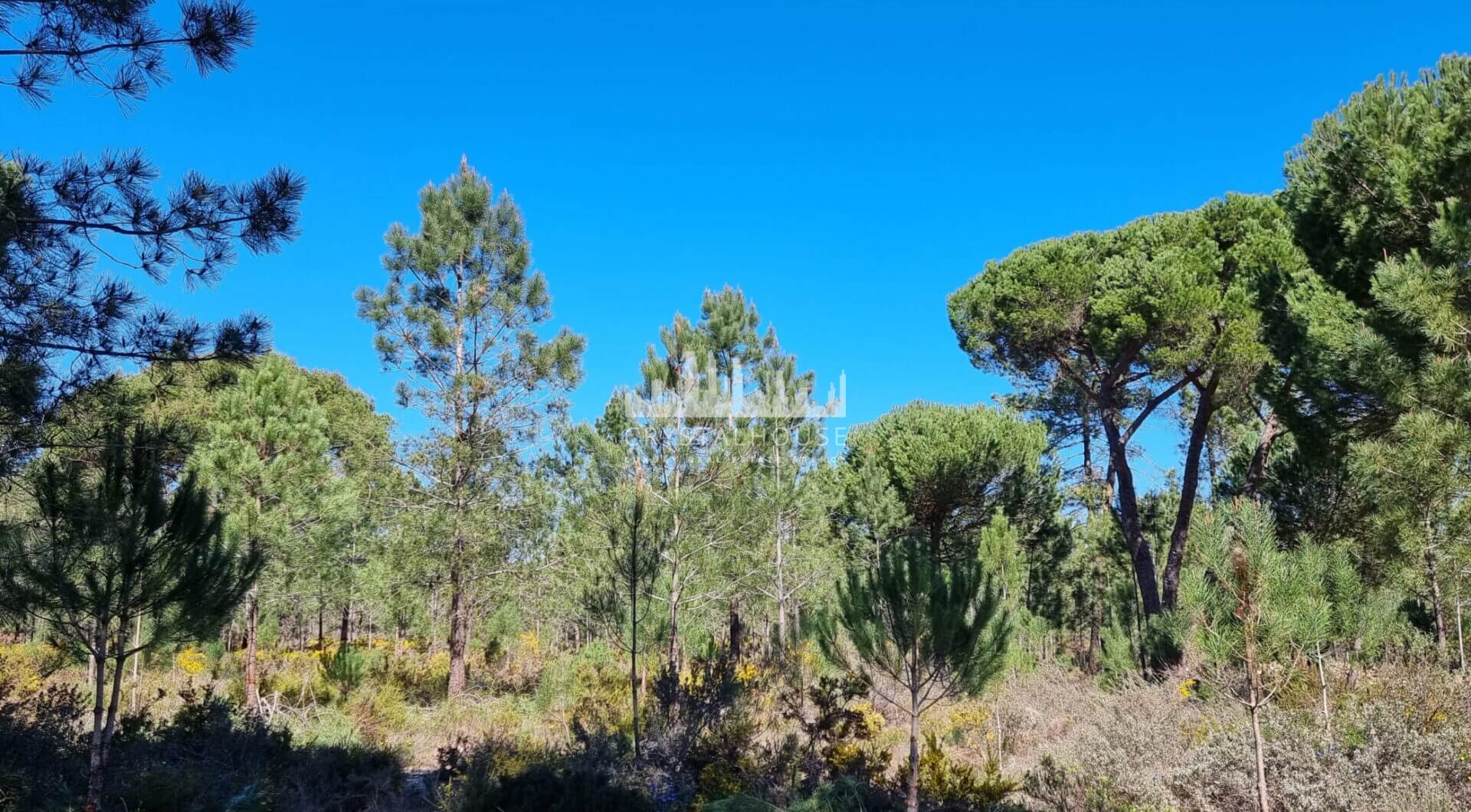 Portugalia, Comporta / Alentejo Coast, Muda