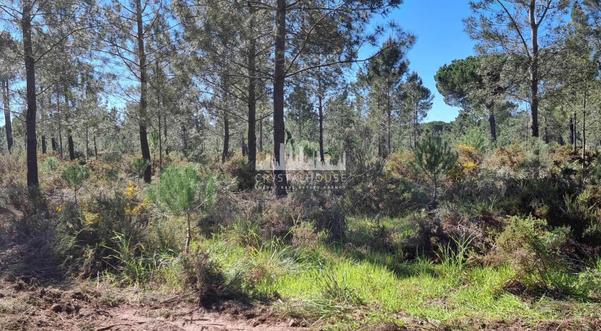 Portugalia, Comporta / Alentejo Coast, Muda
