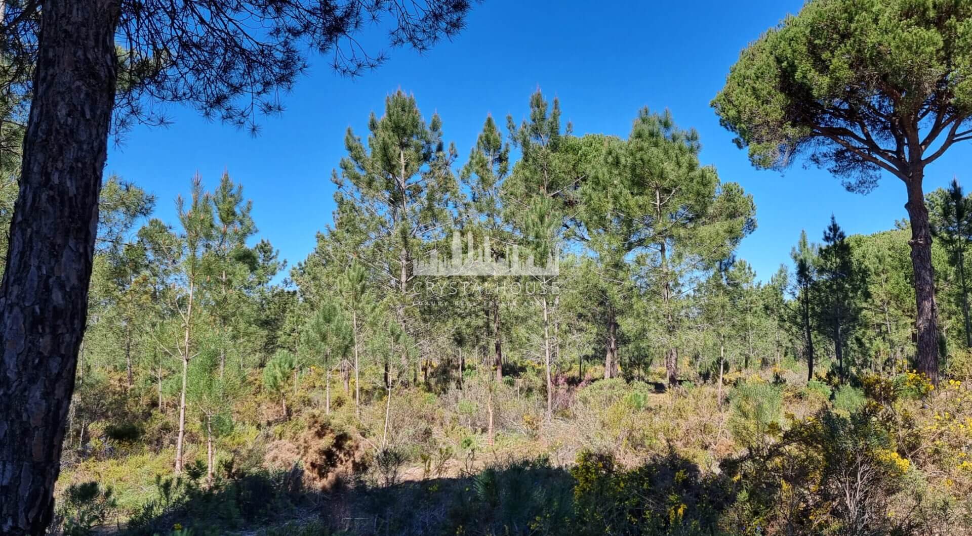 Portugalia, Comporta / Alentejo Coast, Muda