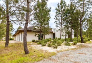 Portugalia, Comporta / Alentejo Coast, Bicas