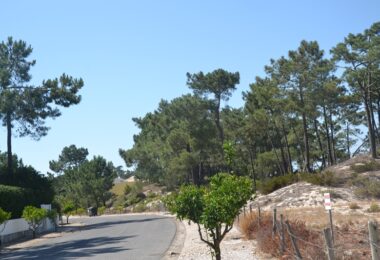 Portugalia, Comporta / Alentejo Coast, Troia