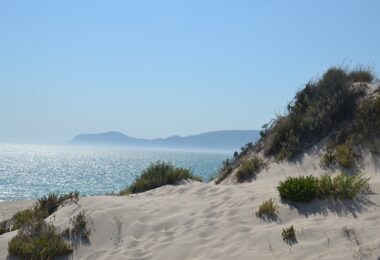 Portugalia, Comporta / Alentejo Coast, Troia