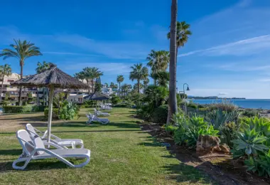 Luxury beachfront apartment in Estepona beachfront garden with sun loungers and palm trees by the Mediterranean Sea
