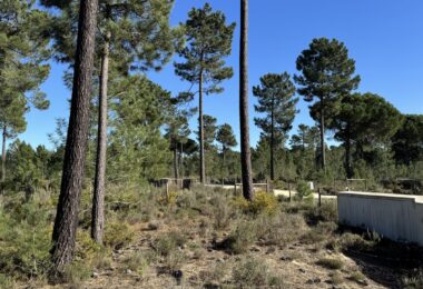 Portugalia, Comporta / Alentejo Coast, Muda