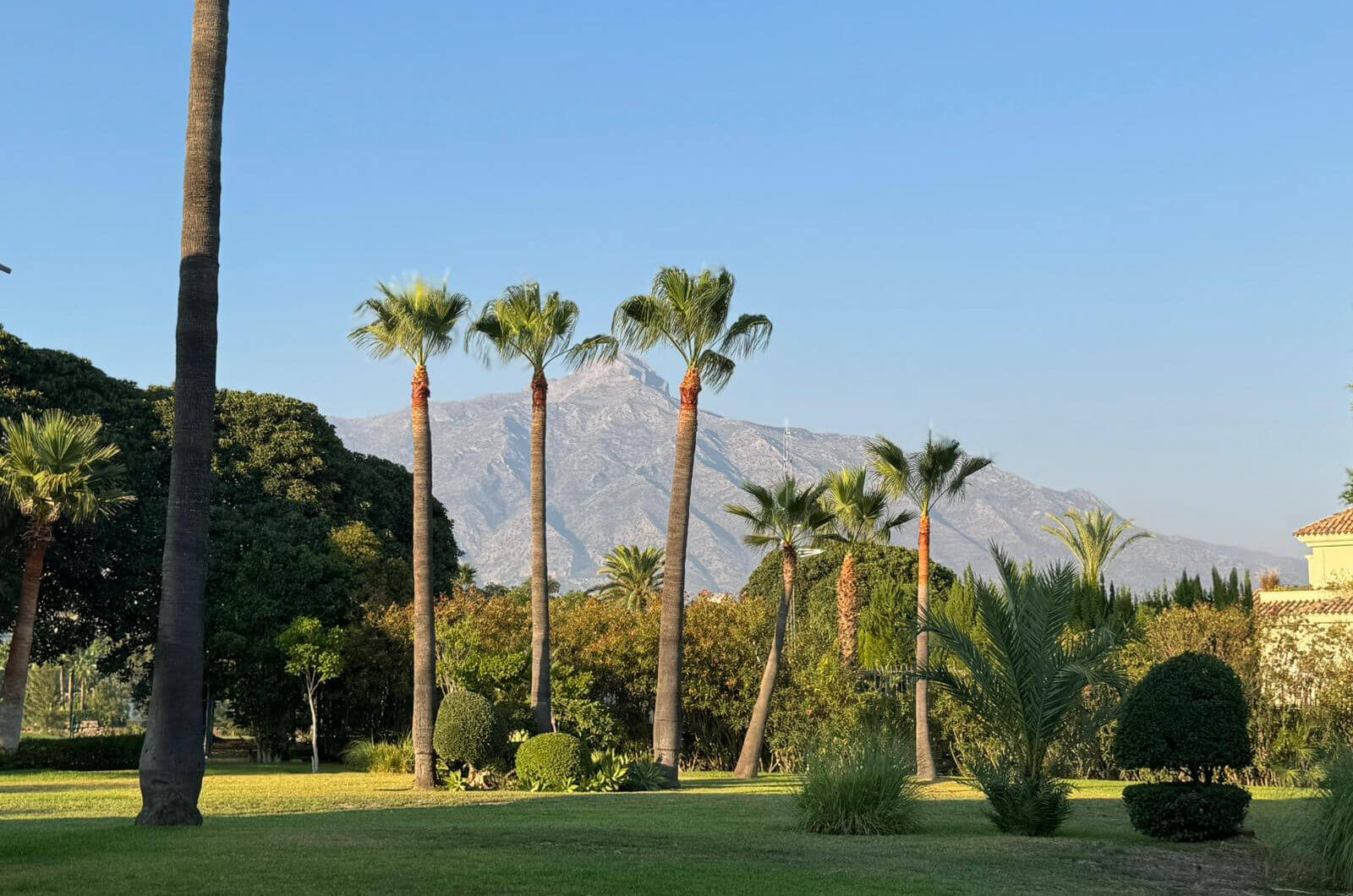 Hiszpania, Marbella, Nueva Andalucia