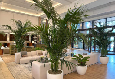 Hiszpania, Estepona, Estepona East