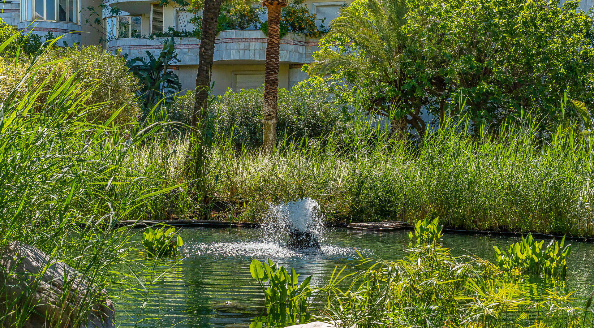 Hiszpania, Marbella, Marbella - Puerto Banus