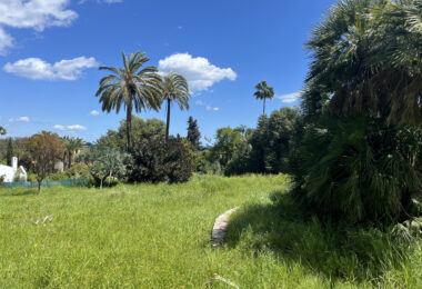 Hiszpania, Sotogrande, Sotogrande Costa