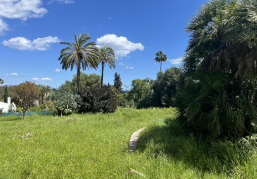 Hiszpania, Sotogrande, Sotogrande Costa