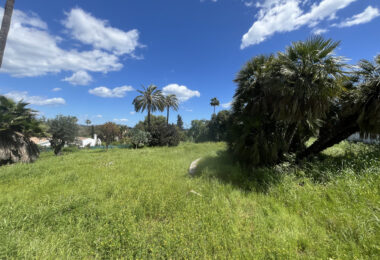 Hiszpania, Sotogrande, Sotogrande Costa