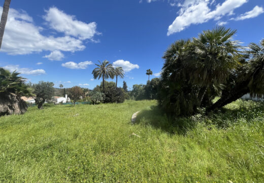 Hiszpania, Sotogrande, Sotogrande Costa