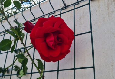 Hiszpania, Estepona, Estepona East