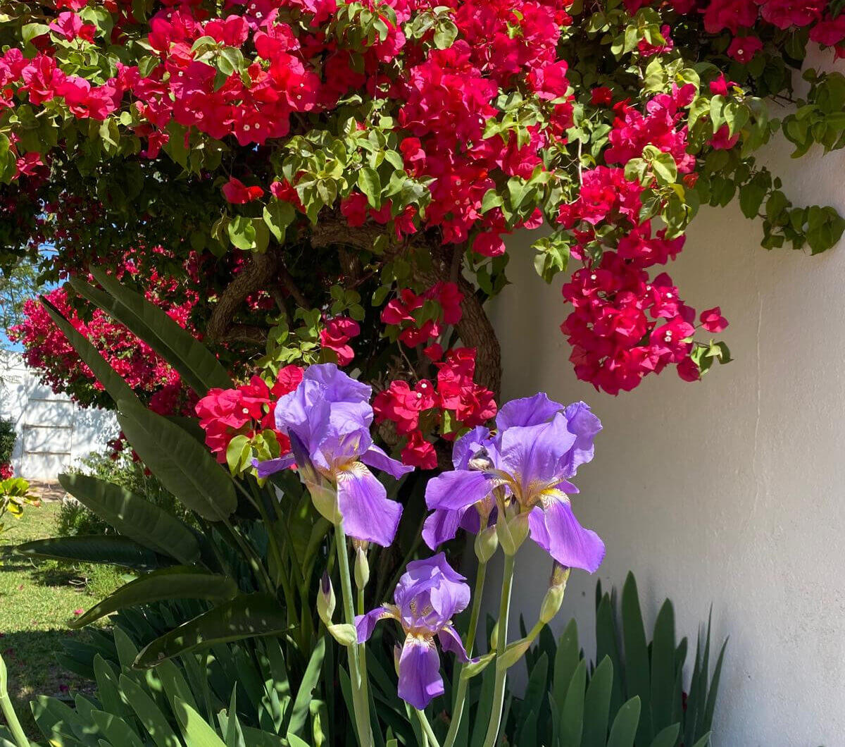 Hiszpania, Estepona, Estepona East