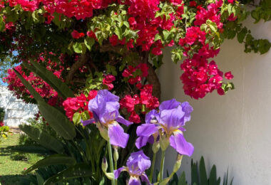 Hiszpania, Estepona, Estepona East