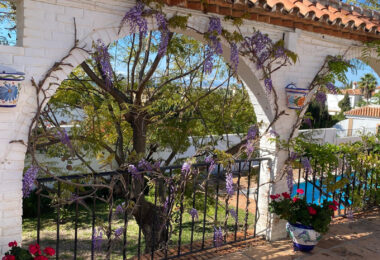 Hiszpania, Estepona, Estepona East