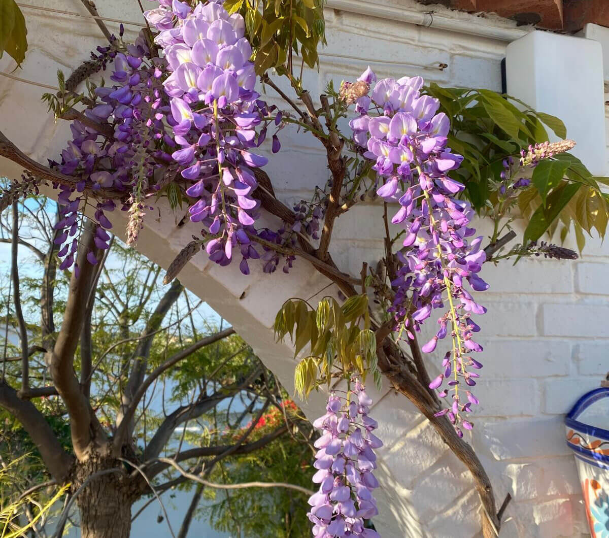 Hiszpania, Estepona, Estepona East