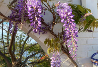 Hiszpania, Estepona, Estepona East