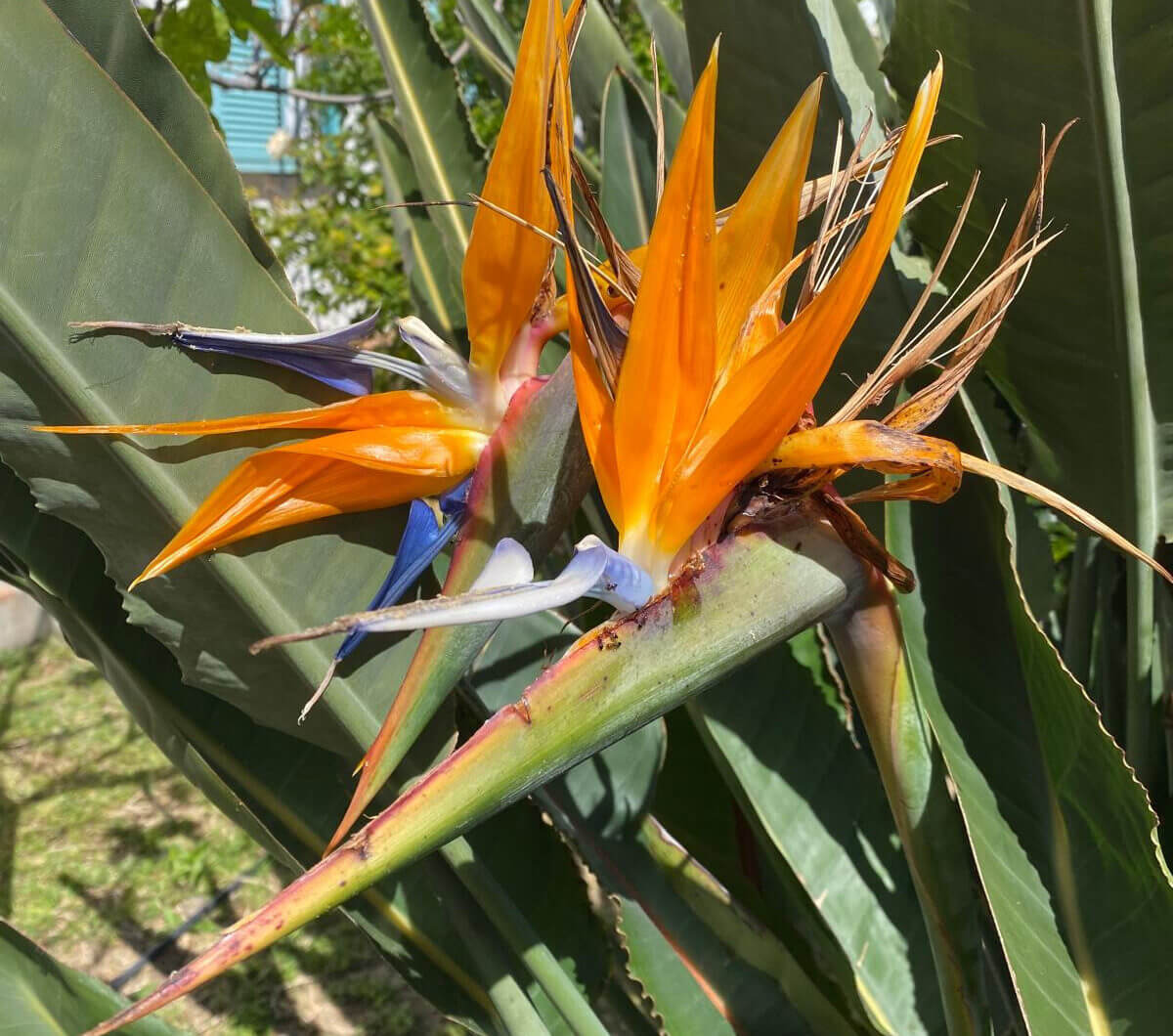 Hiszpania, Estepona, Estepona East