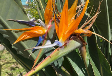 Hiszpania, Estepona, Estepona East